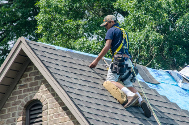 Best Roof Gutter Cleaning  in Raoul, GA